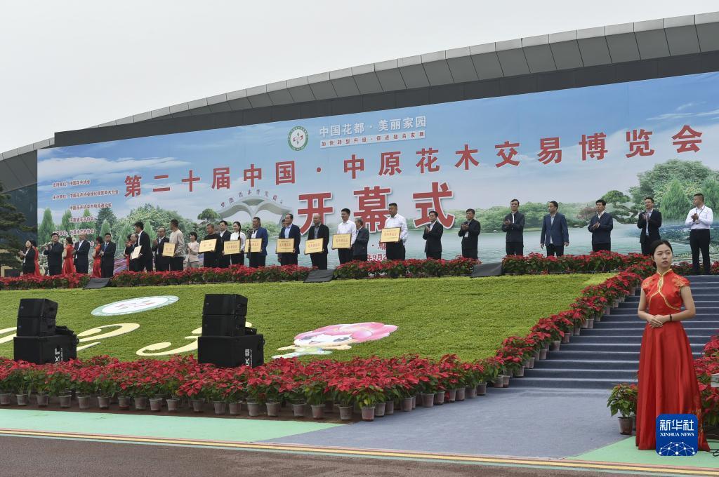 棋游乐官网